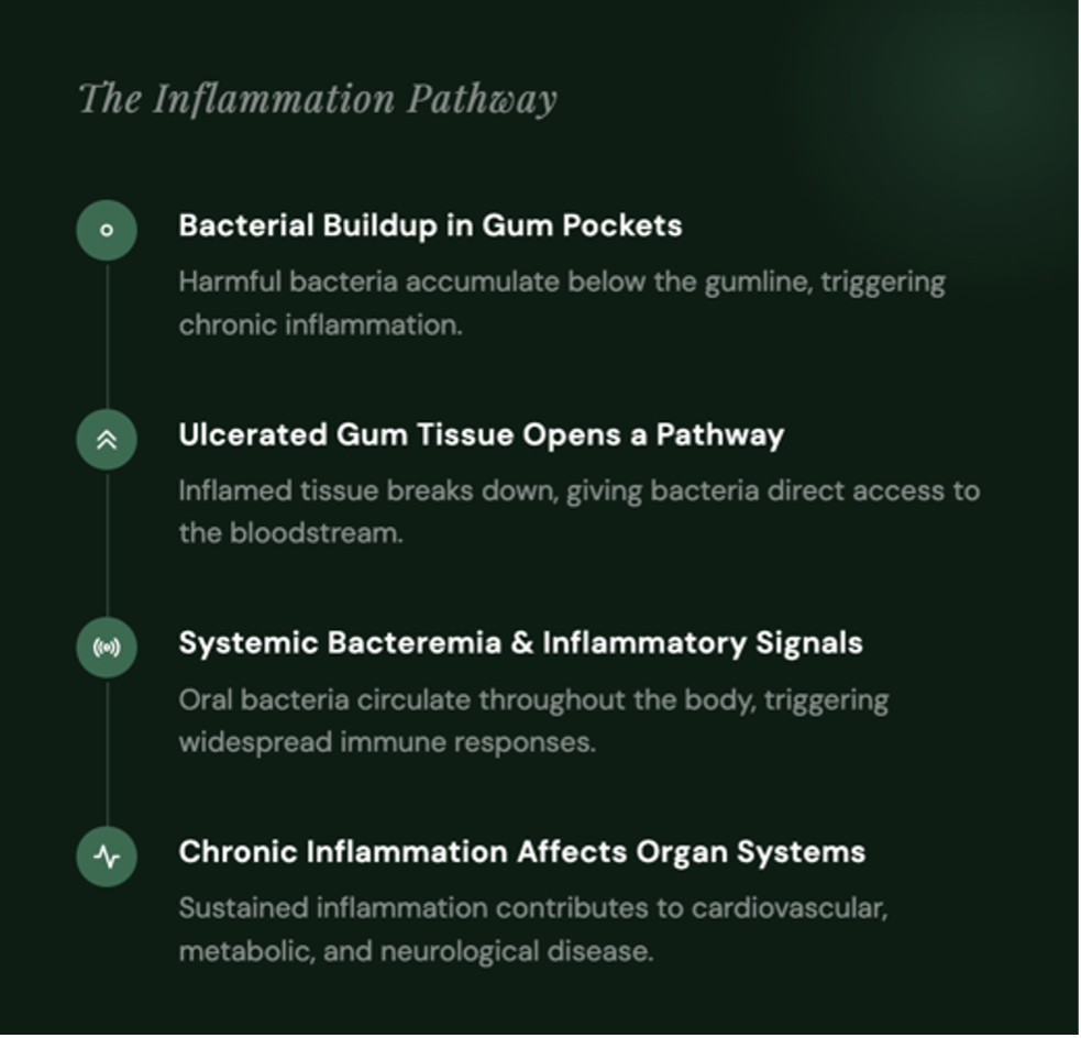 inflammation pathway image
